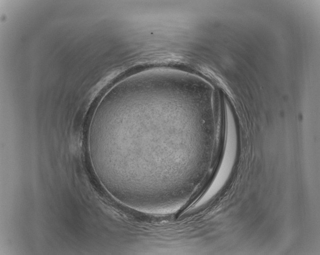 X0000074290483200609011411