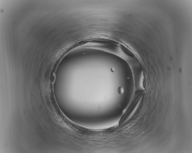 X0000074290485200609011411