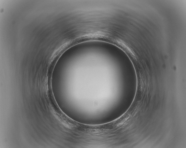 X0000074290486200609011411