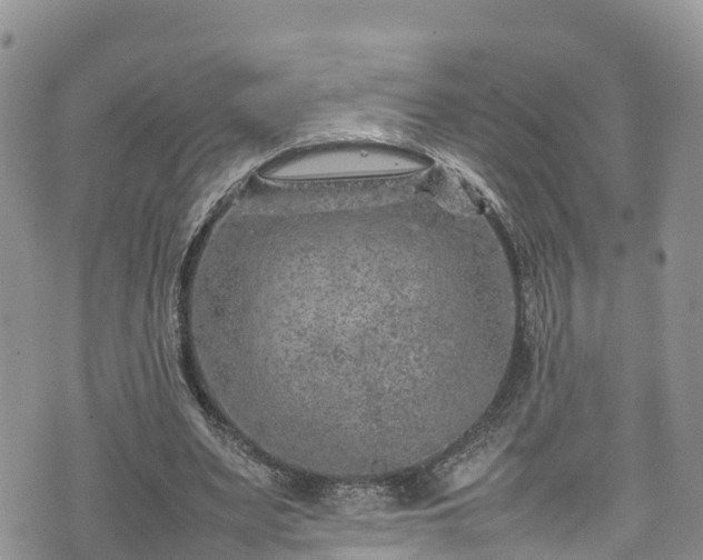 X0000074290487200609011411