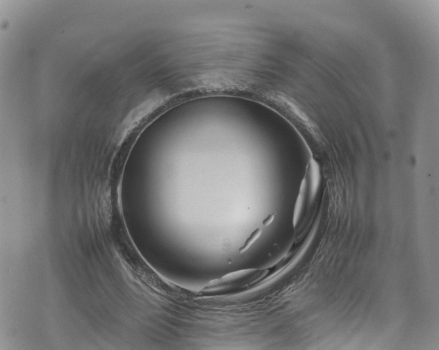 X0000074290488200609011411