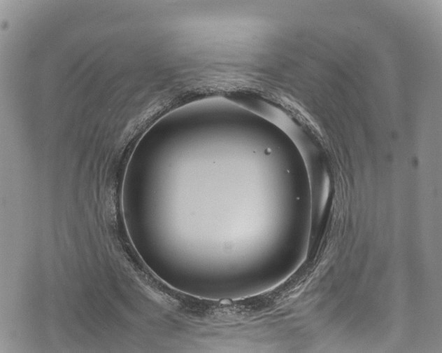 X0000074290489200609011411