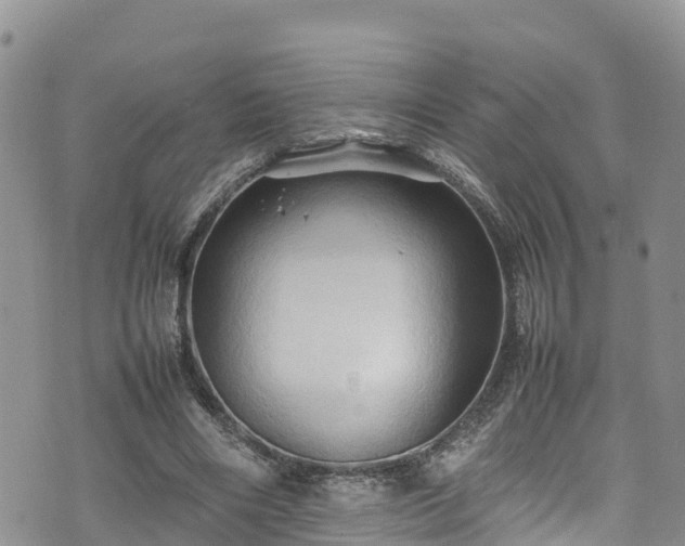 X0000074290490200609011411