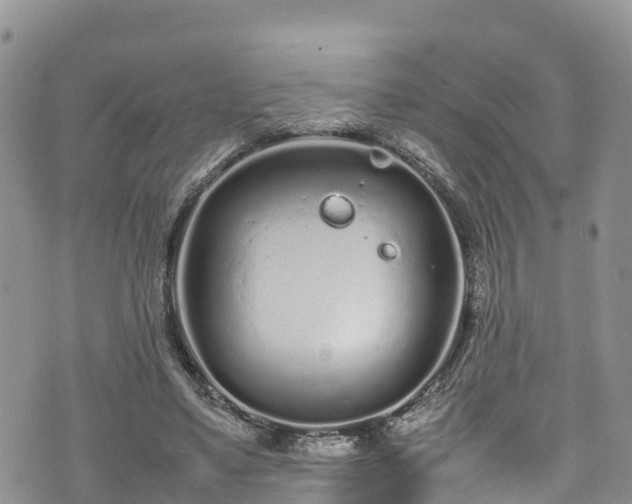 X0000074290491200609011411