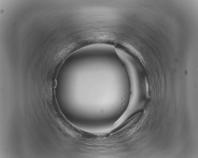 X0000074290493200609011411