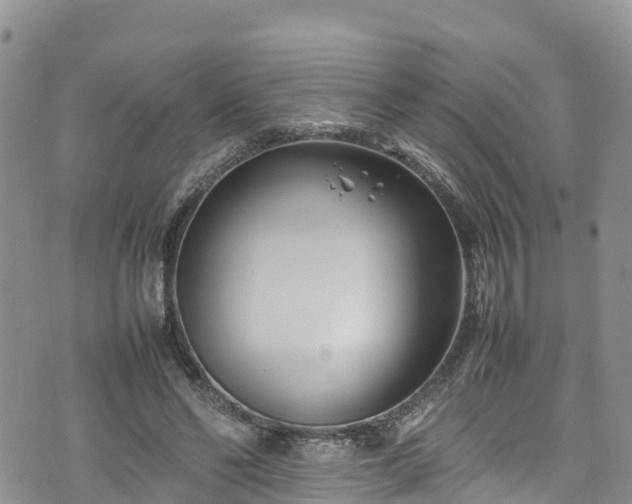 X0000074290494200609011411