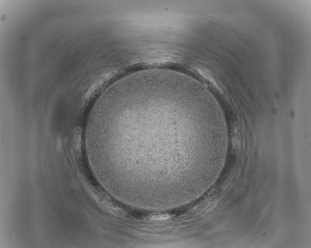 X0000074290495200609011411