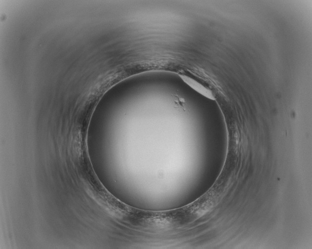 X0000074290498200609011410