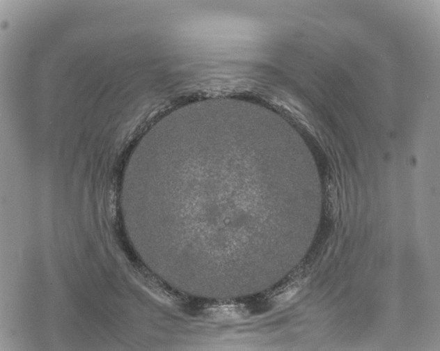 X0000074290499200609011410