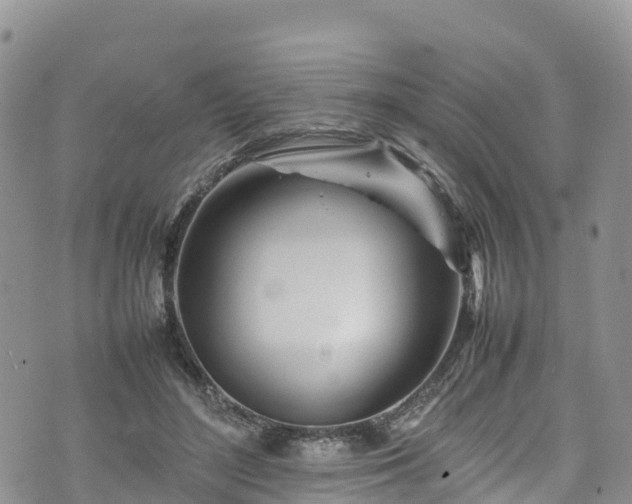 X0000074290500200609011410