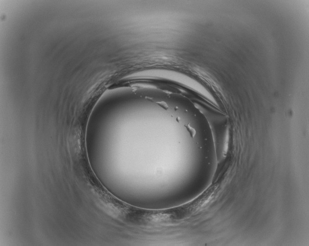 X0000074290501200609011410