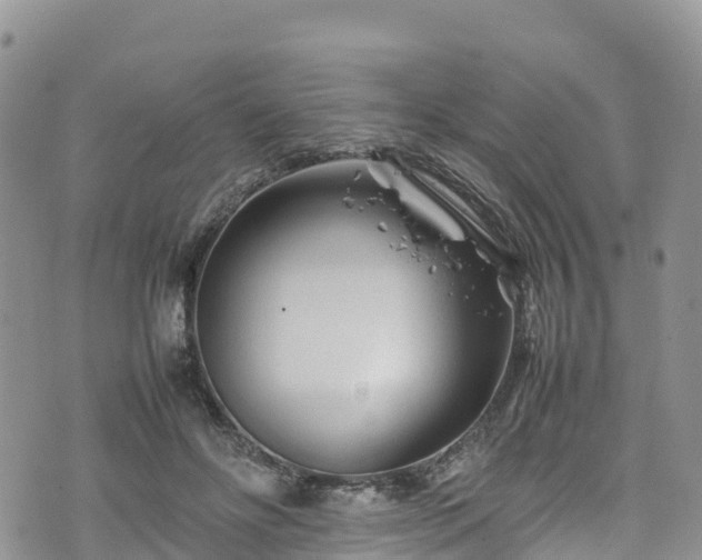 X0000074290502200609011410