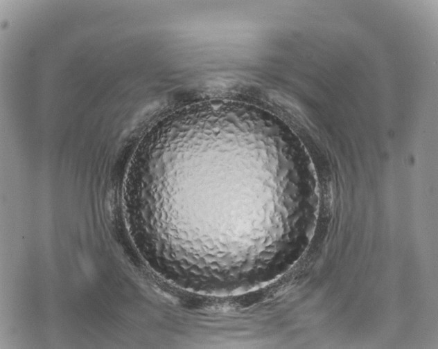 X0000074290503200609011410