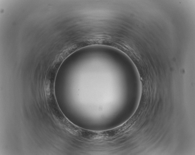 X0000074290504200609011410