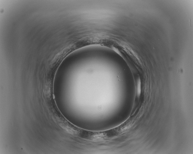 X0000074290505200609011410