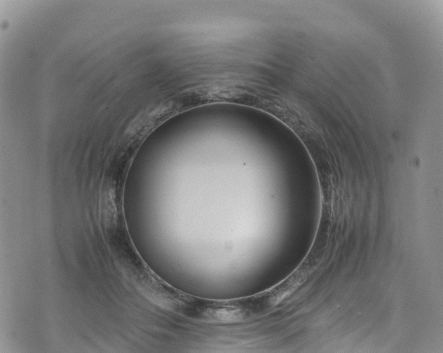 X0000074290506200609011410