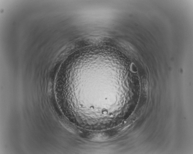 X0000074290507200609011410