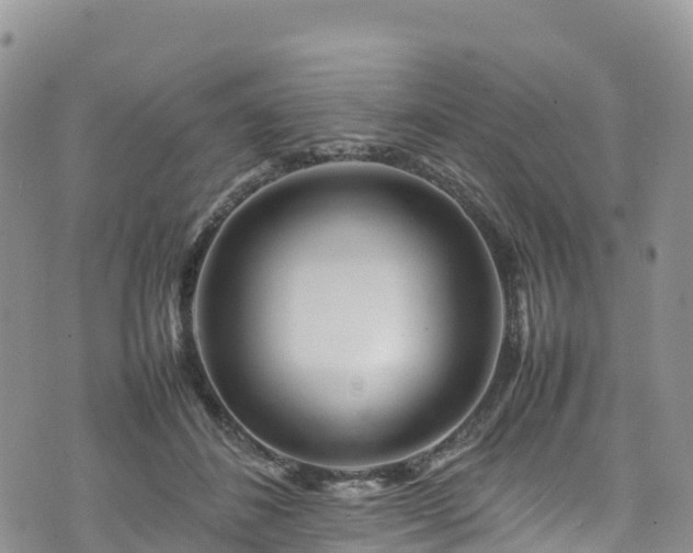 X0000074290508200609011410