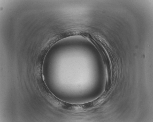 X0000074290509200609011410