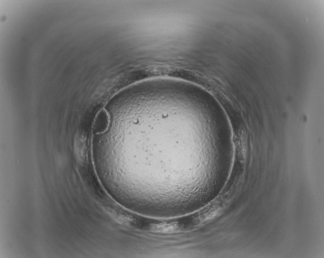 X0000074290511200609011410