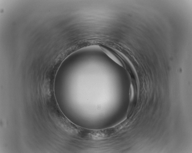 X0000074290512200609011410