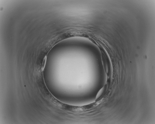 X0000074290513200609011410