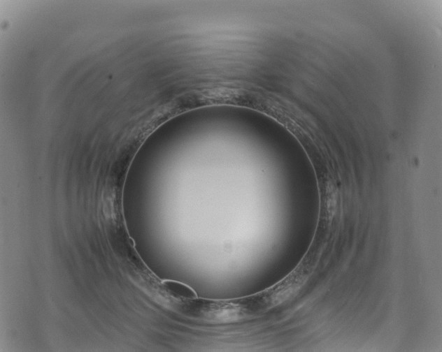 X0000074290514200609011410