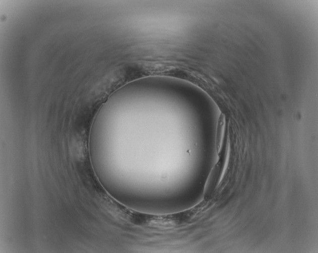 X0000074290515200609011410