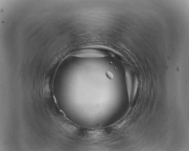 X0000074290516200609011410