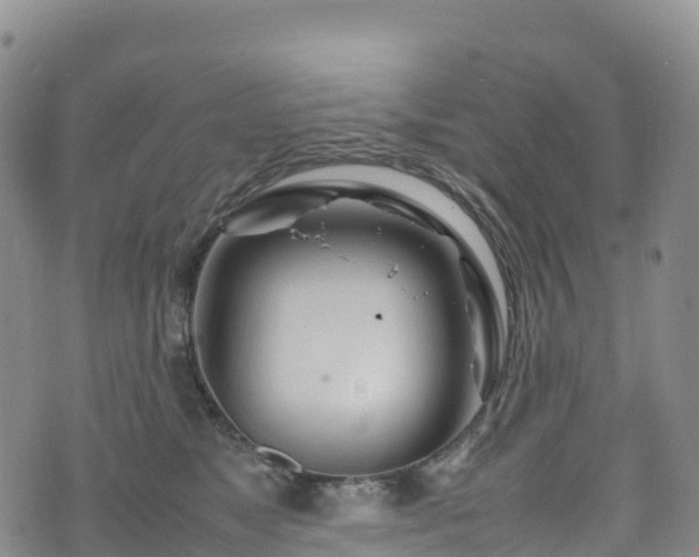 X0000074290517200609011410