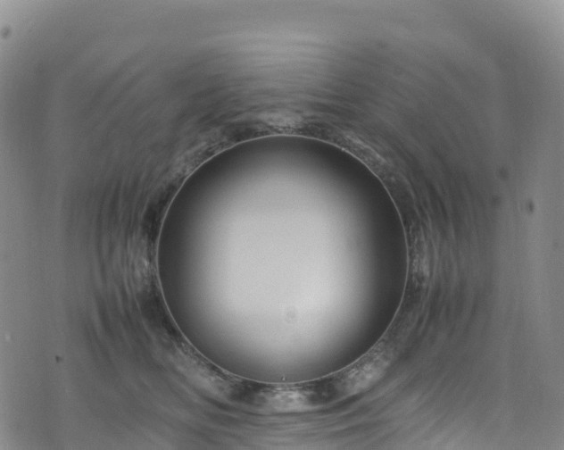 X0000074290518200609011410