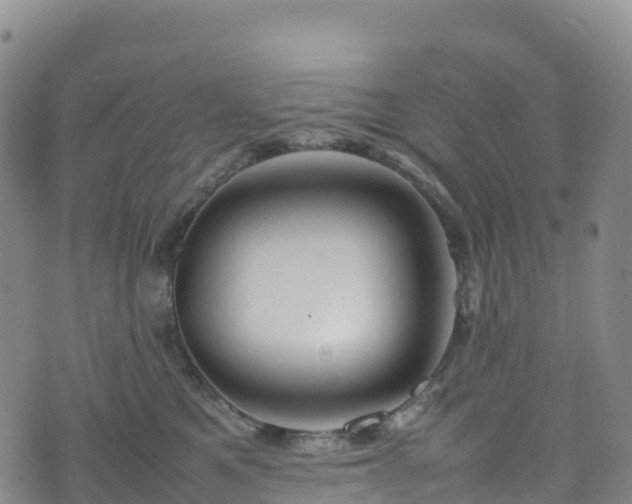 X0000074290521200609011410