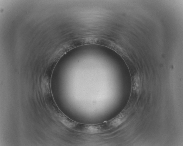 X0000074290522200609011410