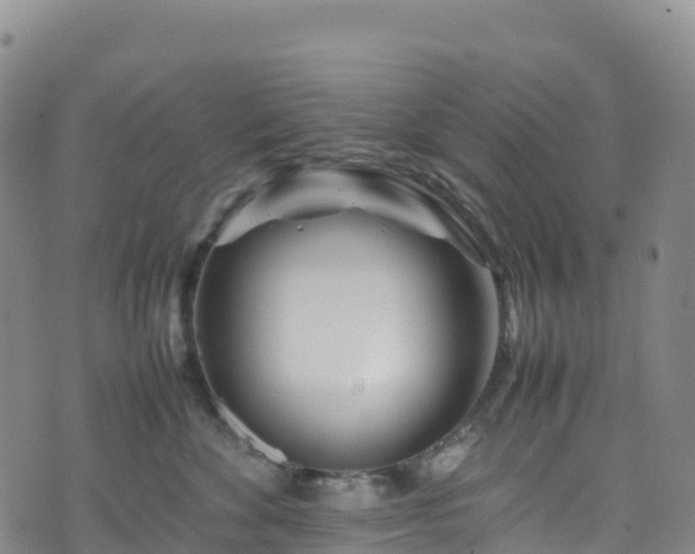 X0000074290524200609011410