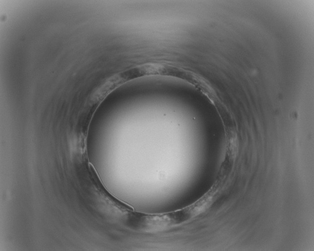 X0000074290525200609011410