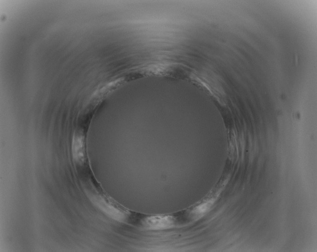 X0000074290526200609011410