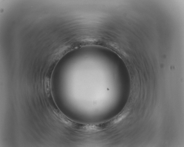 X0000074290528200609011410