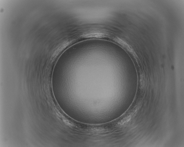 X0000074290529200609011409