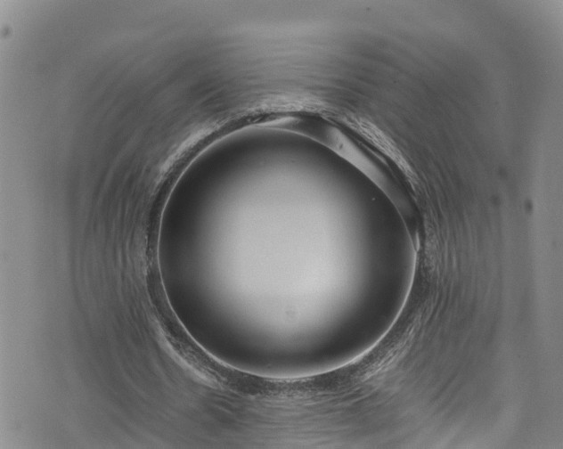 X0000074290530200609011409