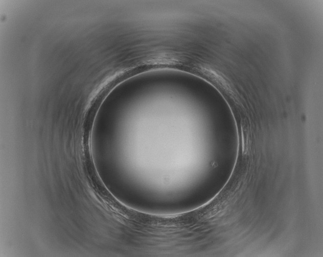 X0000074290531200609011409