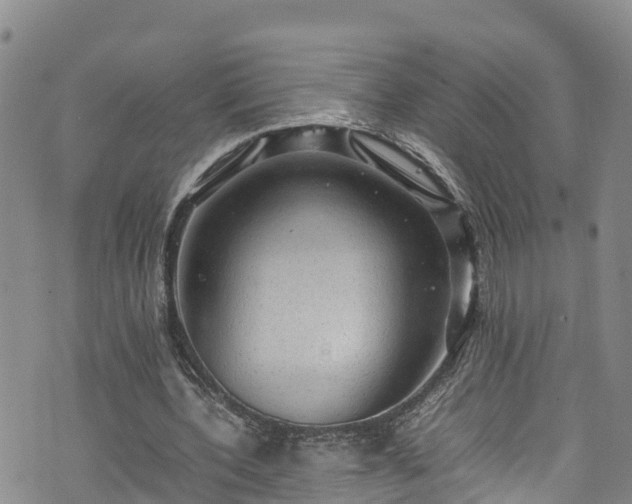 X0000074290532200609011409