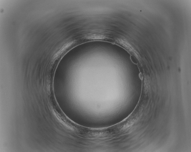 X0000074290533200609011409