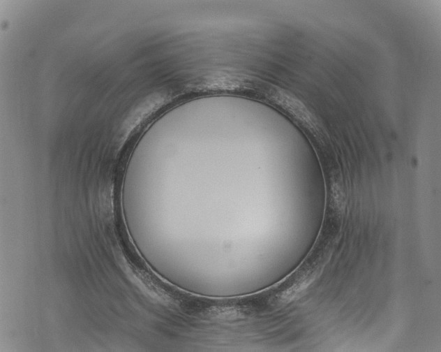 X0000074290534200609011409