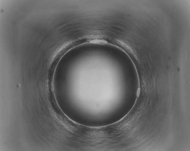 X0000074290535200609011409