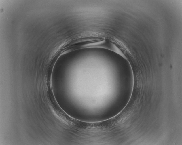 X0000074290538200609011409