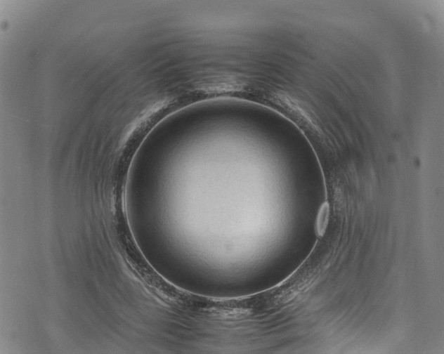 X0000074290539200609011409