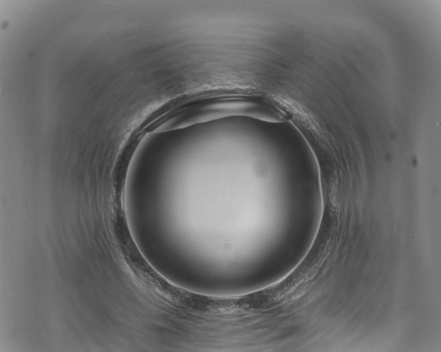 X0000074290540200609011409