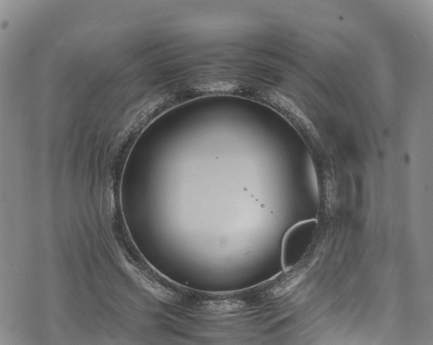 X0000074290541200609011409