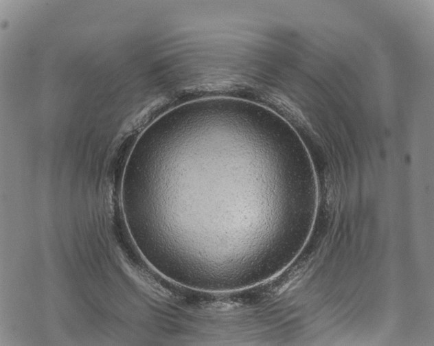 X0000074290542200609011409