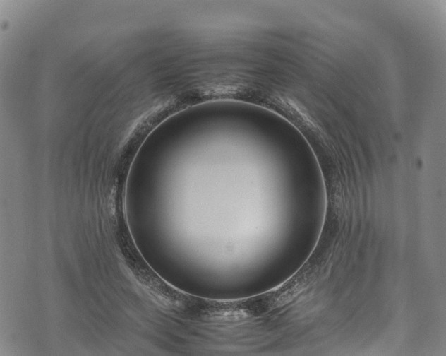 X0000074290543200609011409